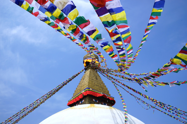 Buddha's eyes