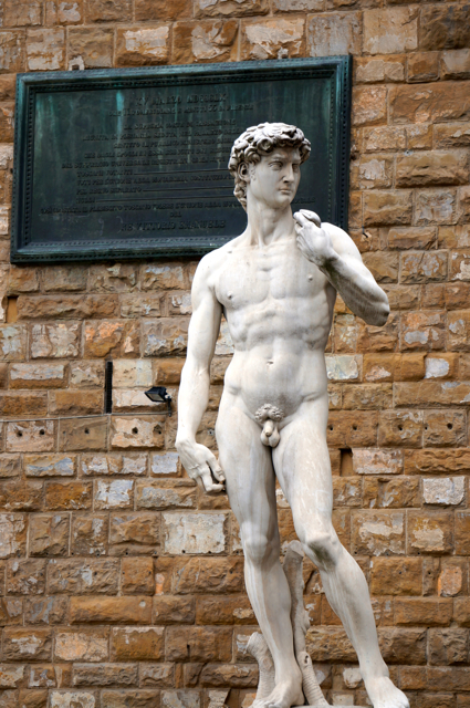 The replica of David at the Piazza della Signoria, Palazzo Vecchio will have to do for this trip